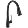 Single Handle Pull-Down Kitchen Faucet With ShieldSpray&reg;&nbsp;Technology in Matte Black