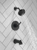 Tub/Shower Rough and Trim 14S (Recertified)