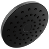 PivotPro&trade; Raincan Shower Head