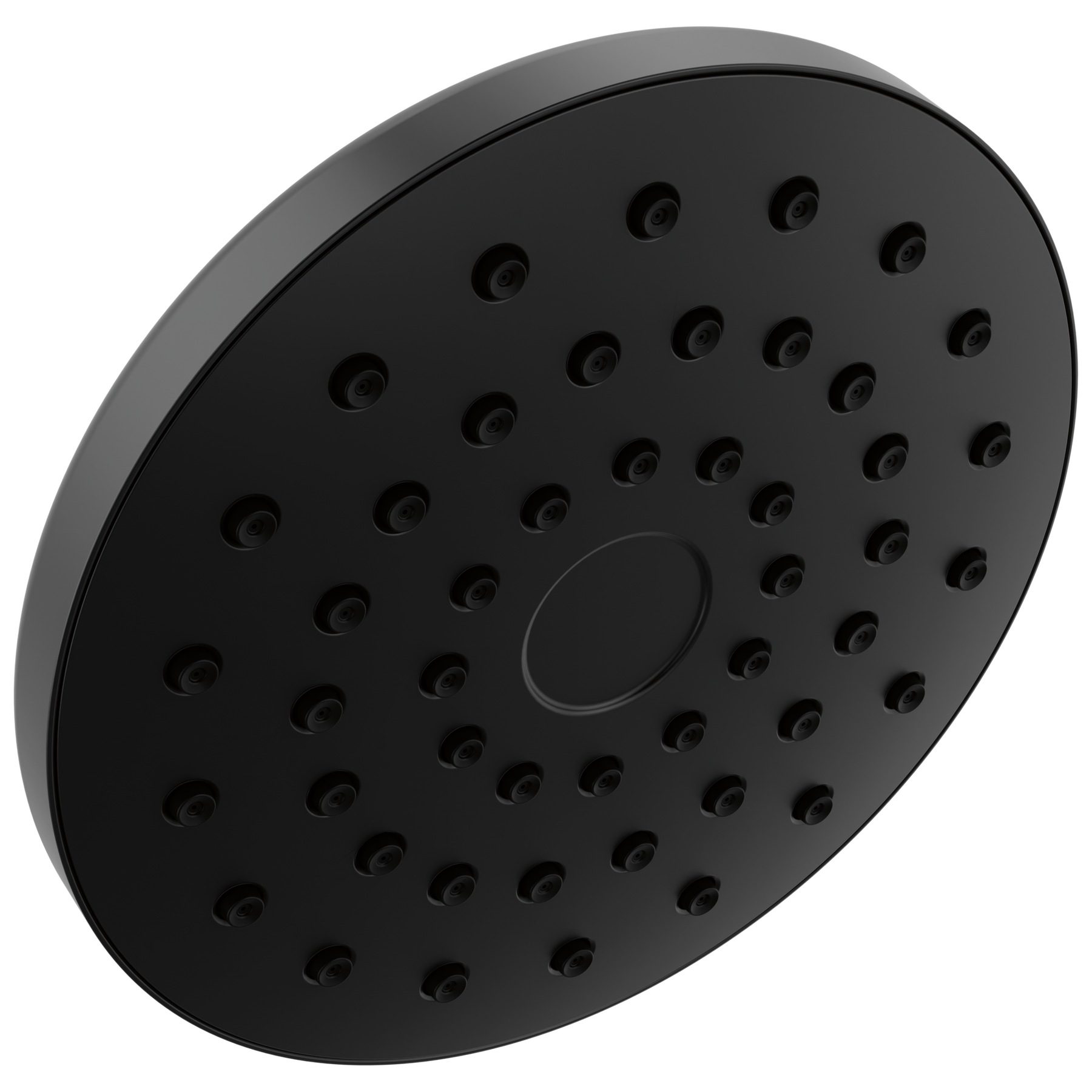 PivotPro&trade; Raincan Shower Head
