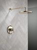 17 Series Shower Trim