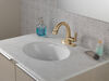 Single Handle Pull Down Bathroom Faucet