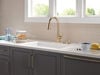 Single Handle Pull-Down Kitchen Faucet with Soap Dispenser and ShieldSpray&reg; Technology