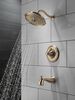 Monitor 14 Series Tub & Shower with H2Okinetics