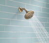 5-Setting Raincan Shower Head