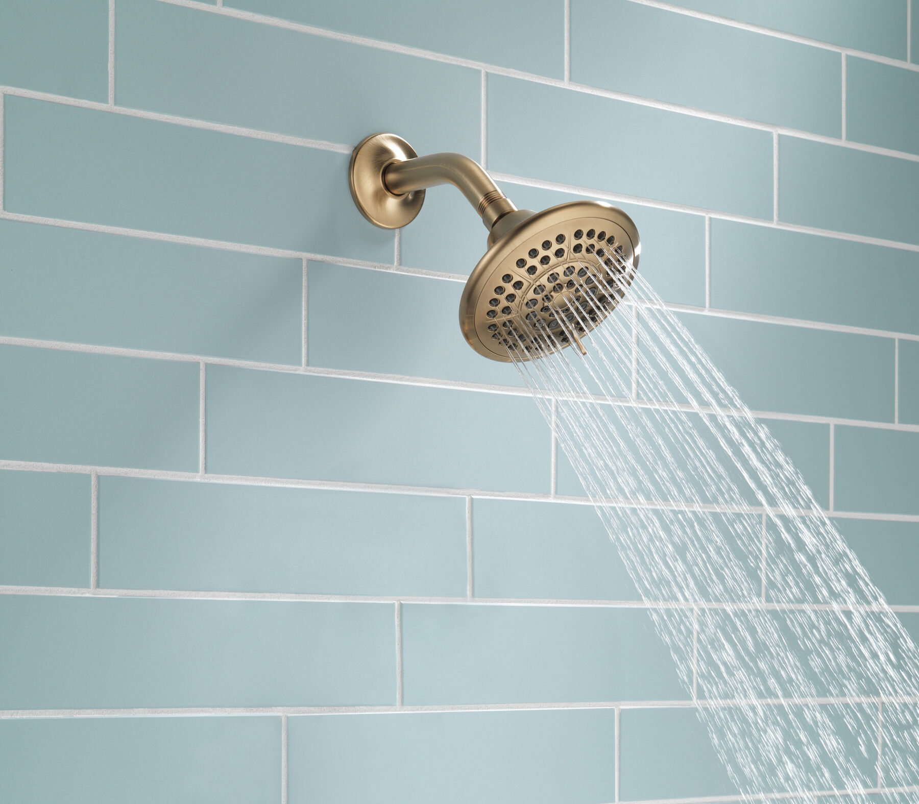 5-Setting Raincan Shower Head