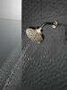 H<sub>2</sub>Okinetic&reg; 5-Setting Contemporary Raincan Shower Head