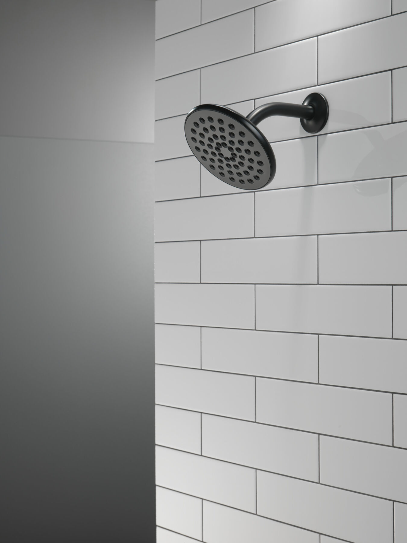 Single-Setting Raincan Shower Head