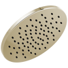 Single-Setting Metal Raincan Shower Head