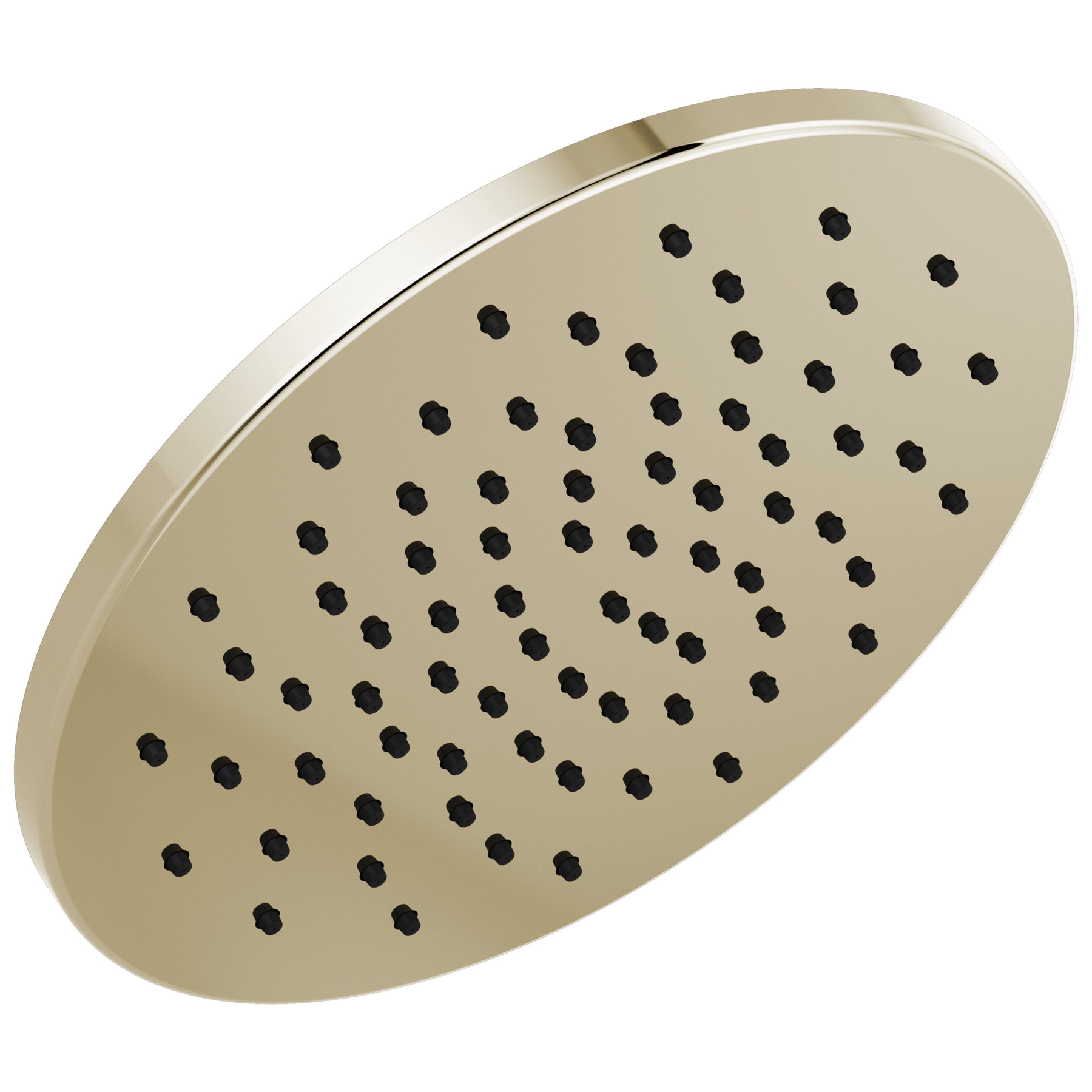Single-Setting Metal Raincan Shower Head