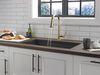 Pull-Down Kitchen w/ShieldSpray (Recertified)