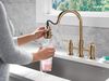 Pull-Down Bridge Kit w/ShieldSpray (Recertified)