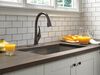 Single Handle Pull-Down Kitchen Faucet with ShieldSpray&reg; Technology