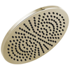 Single-Setting Metal Raincan Shower Head