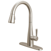 Single Handle Pull-Down Kitchen Faucet