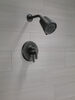 17 Series Shower Trim with Cylinder SH