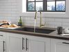Pull-Down Kitchen w/ShieldSpray (Recertified)