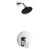 In Wall Shower Only