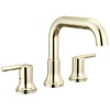 Roman Tub Trim