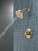 Shower Rough & Trim 14S (Recertified)