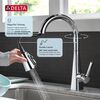 Single-Handle Pull-Down Kitchen Faucet