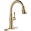 Pull-Down Kitchen w/ShieldSpray (Recertified)