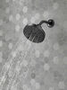 H<sub>2</sub>Okinetic&reg; 5-Setting Contemporary Raincan Shower Head (Recertified)