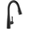 Single Handle Pull-Down Kitchen Faucet