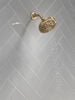 Fixed 5-Setting Showerhead