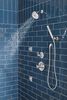 Premium Single-Setting Adjustable Wall Mount Hand Shower
