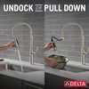 Single Handle Pull-Down Kitchen Faucet With Spring Spout