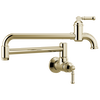Wall Mount Pot Filler
