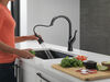 Single-Handle Pull-Down Kitchen Faucet