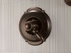 TempAssure&reg; 17T Series Valve Only Trim