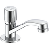 Single Hole Metering Faucet