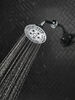 H<sub>2</sub>Okinetic&reg; 5-Setting Transitional Raincan Shower Head
