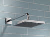 Shower Arm and Escutcheon