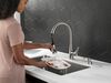 Single Handle Pull-Down Kitchen Faucet with ShieldSpray (Recertified)