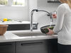 Pull-Down Kitchen Faucet (Recertified)