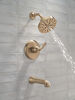 14 Series Tub Shower Trim