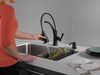 Pull-Down Kitchen w/Soap Disp (Recertified)