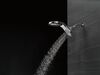 HydroRain 5 Setting Showerhead (Recertified)