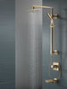 Single-Setting Raincan Shower Head