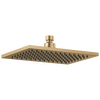Single-Setting Raincan Shower Head