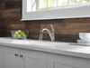 Single Handle Pull-Out Kitchen Faucet