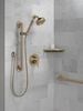 Flange - Shower