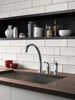 Single Handle Kitchen Faucet with Spray
