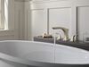 Roman Tub Trim