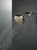 H<sub>2</sub>Okinetic&reg; 5-Setting Contemporary Raincan Shower Head
