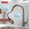Single Handle Pull-Down Kitchen Faucet with Soap Dispenser and ShieldSpray&reg; Technology